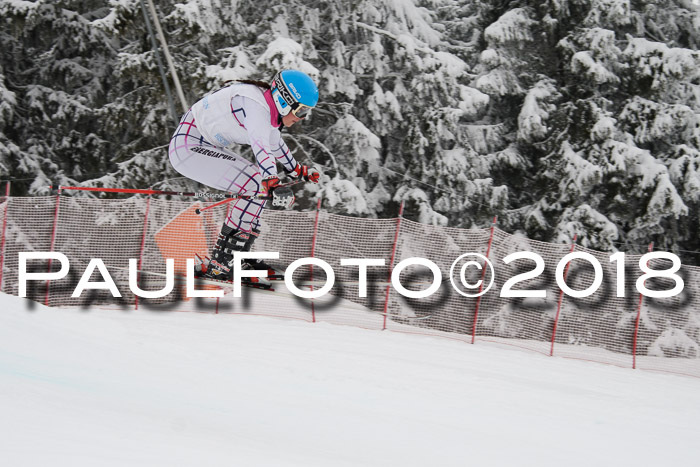 Int. FIS Rennen + NJC Damen, SG, Götschen, 22.02.2018