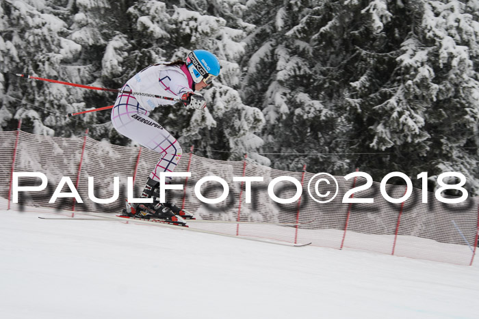 Int. FIS Rennen + NJC Damen, SG, Götschen, 22.02.2018