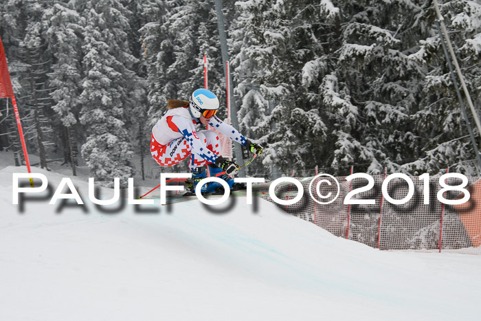 Int. FIS Rennen + NJC Damen, SG, Götschen, 22.02.2018