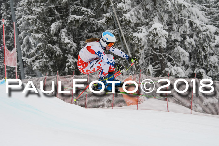 Int. FIS Rennen + NJC Damen, SG, Götschen, 22.02.2018
