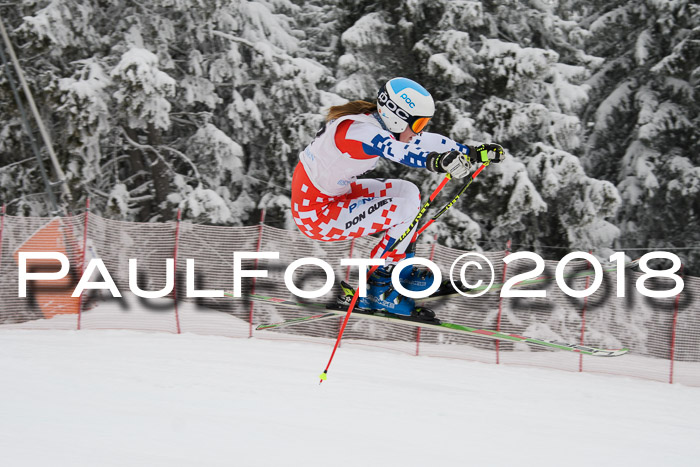 Int. FIS Rennen + NJC Damen, SG, Götschen, 22.02.2018