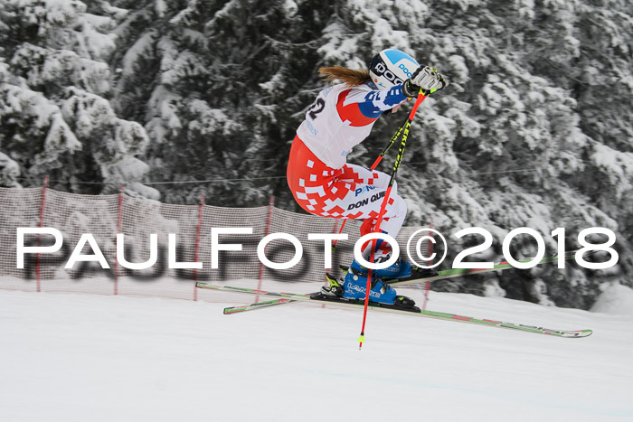 Int. FIS Rennen + NJC Damen, SG, Götschen, 22.02.2018