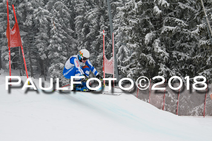 Int. FIS Rennen + NJC Damen, SG, Götschen, 22.02.2018