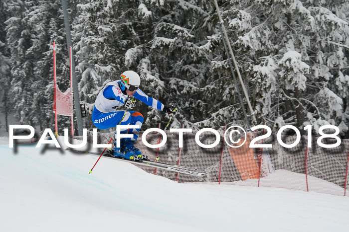 Int. FIS Rennen + NJC Damen, SG, Götschen, 22.02.2018