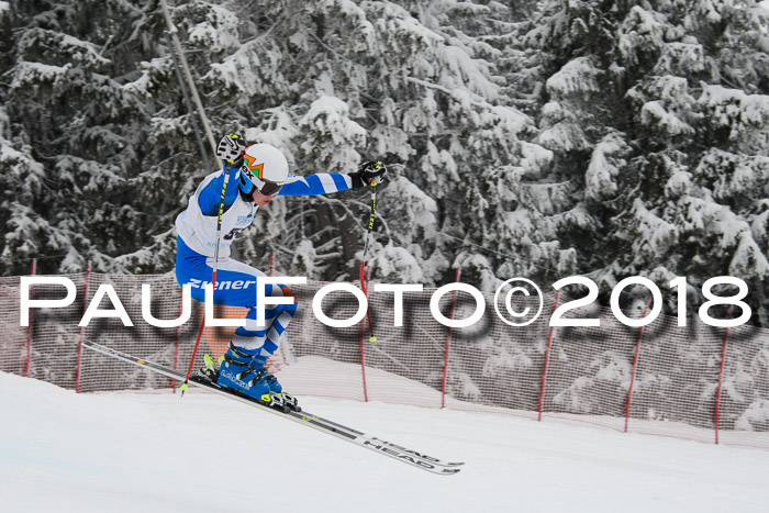 Int. FIS Rennen + NJC Damen, SG, Götschen, 22.02.2018
