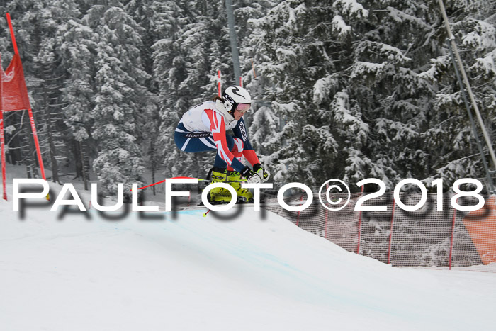 Int. FIS Rennen + NJC Damen, SG, Götschen, 22.02.2018