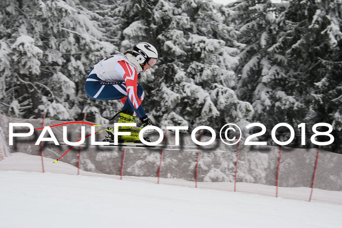 Int. FIS Rennen + NJC Damen, SG, Götschen, 22.02.2018