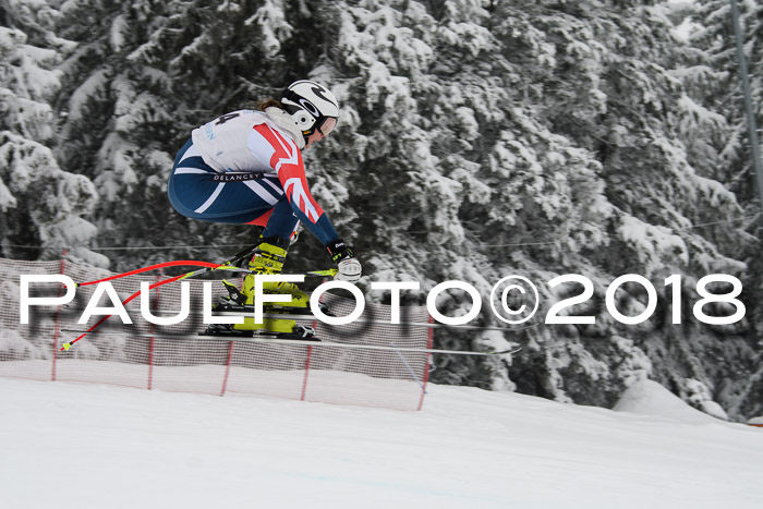 Int. FIS Rennen + NJC Damen, SG, Götschen, 22.02.2018