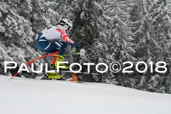 Int. FIS Rennen + NJC Damen, SG, Götschen, 22.02.2018