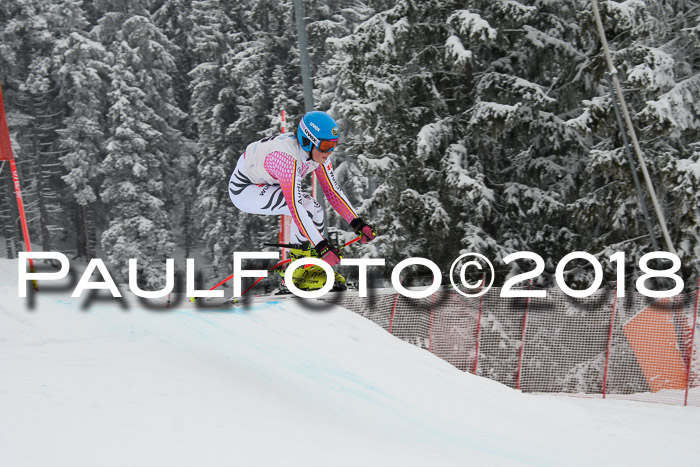 Int. FIS Rennen + NJC Damen, SG, Götschen, 22.02.2018