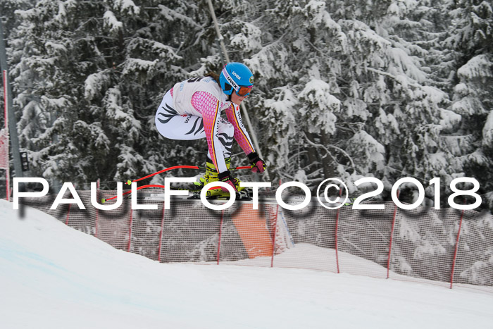 Int. FIS Rennen + NJC Damen, SG, Götschen, 22.02.2018