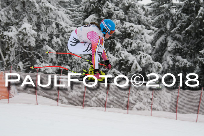 Int. FIS Rennen + NJC Damen, SG, Götschen, 22.02.2018