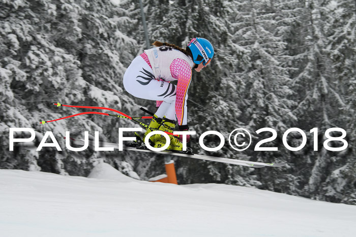 Int. FIS Rennen + NJC Damen, SG, Götschen, 22.02.2018