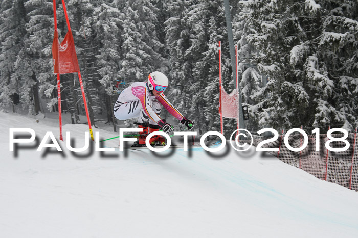Int. FIS Rennen + NJC Damen, SG, Götschen, 22.02.2018