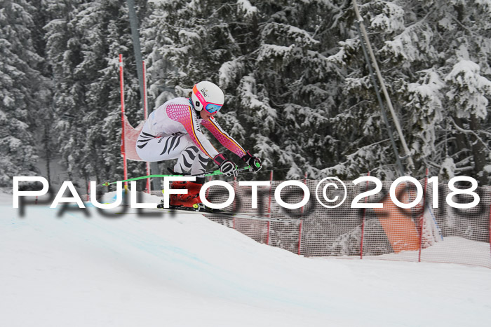 Int. FIS Rennen + NJC Damen, SG, Götschen, 22.02.2018