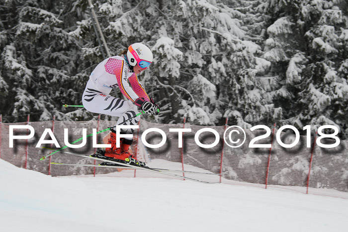 Int. FIS Rennen + NJC Damen, SG, Götschen, 22.02.2018