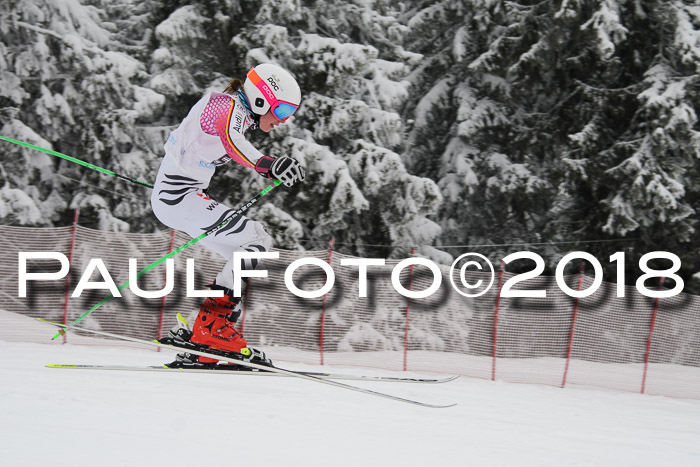 Int. FIS Rennen + NJC Damen, SG, Götschen, 22.02.2018