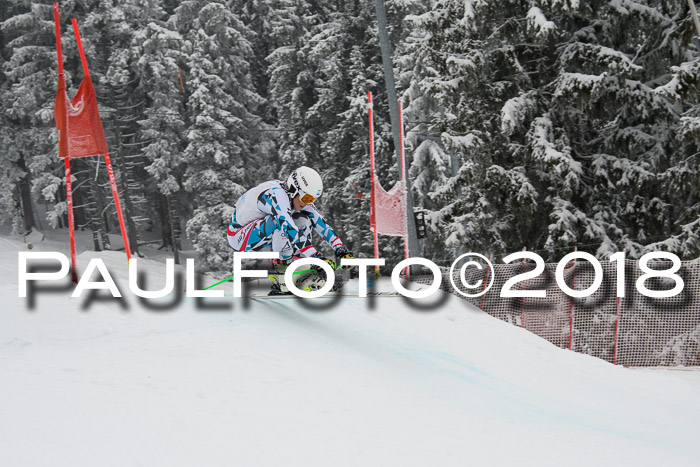 Int. FIS Rennen + NJC Damen, SG, Götschen, 22.02.2018