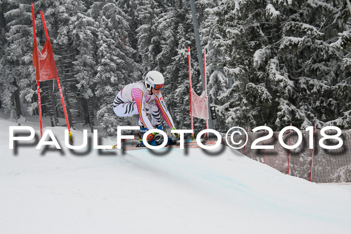 Int. FIS Rennen + NJC Damen, SG, Götschen, 22.02.2018