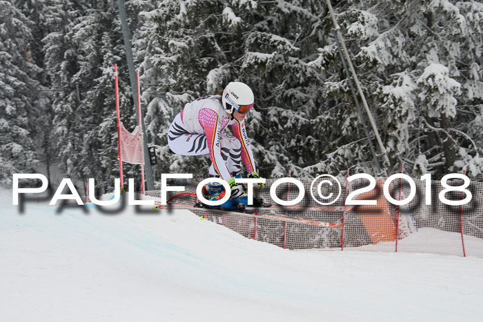Int. FIS Rennen + NJC Damen, SG, Götschen, 22.02.2018
