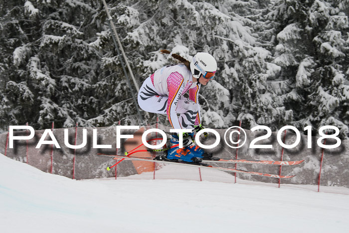 Int. FIS Rennen + NJC Damen, SG, Götschen, 22.02.2018