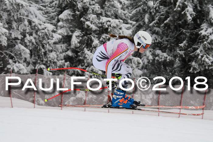 Int. FIS Rennen + NJC Damen, SG, Götschen, 22.02.2018