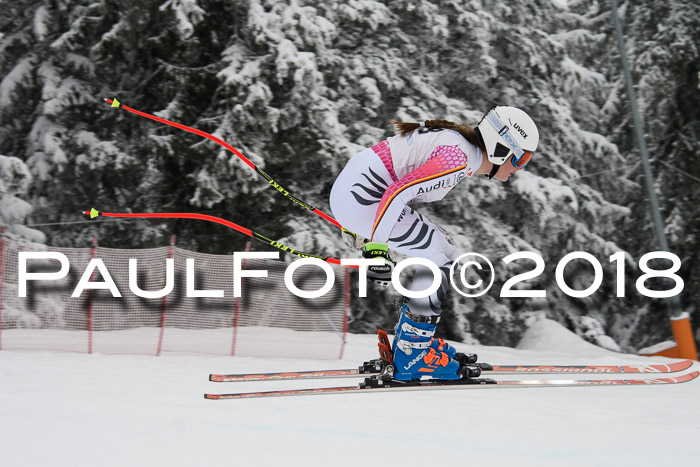 Int. FIS Rennen + NJC Damen, SG, Götschen, 22.02.2018