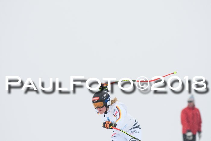 Int. FIS Rennen + NJC Damen, SG, Götschen, 22.02.2018