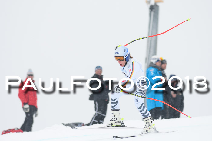 Int. FIS Rennen + NJC Damen, SG, Götschen, 22.02.2018
