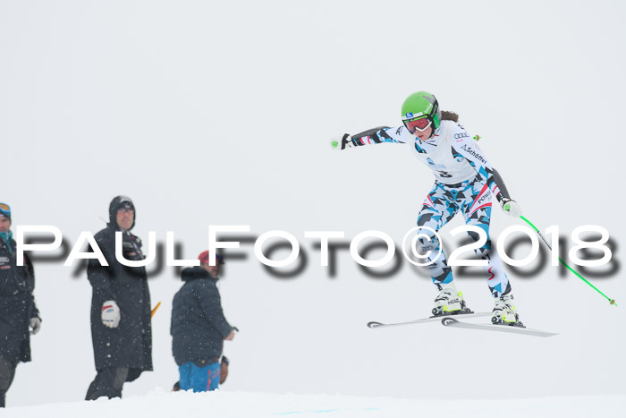 Int. FIS Rennen + NJC Damen, SG, Götschen, 22.02.2018