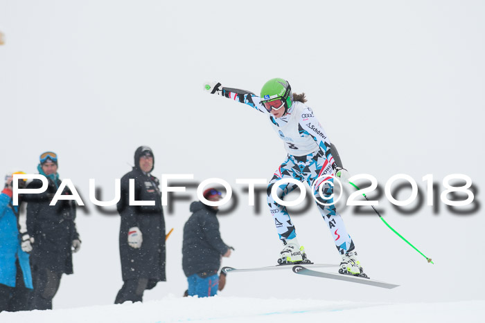 Int. FIS Rennen + NJC Damen, SG, Götschen, 22.02.2018