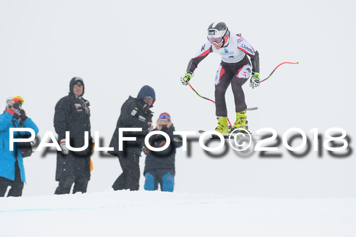 Int. FIS Rennen + NJC Damen, SG, Götschen, 22.02.2018