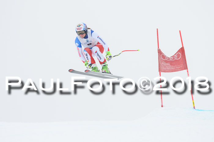 Int. FIS Rennen + NJC Damen, SG, Götschen, 22.02.2018