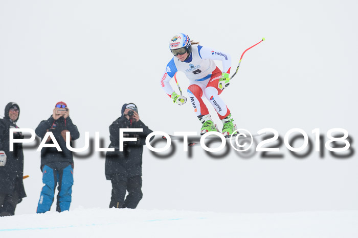 Int. FIS Rennen + NJC Damen, SG, Götschen, 22.02.2018