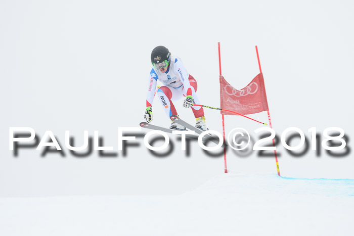 Int. FIS Rennen + NJC Damen, SG, Götschen, 22.02.2018
