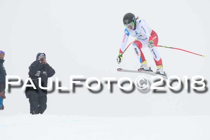 Int. FIS Rennen + NJC Damen, SG, Götschen, 22.02.2018