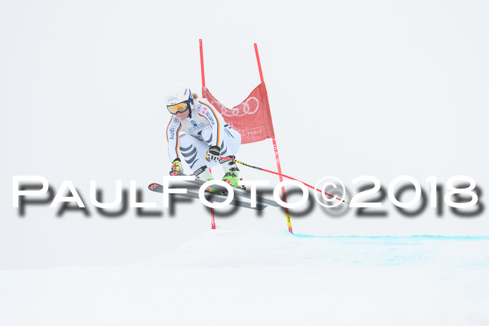 Int. FIS Rennen + NJC Damen, SG, Götschen, 22.02.2018