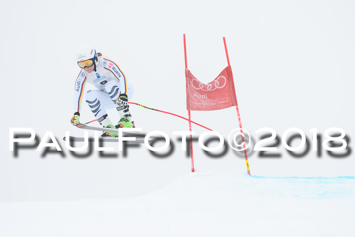 Int. FIS Rennen + NJC Damen, SG, Götschen, 22.02.2018