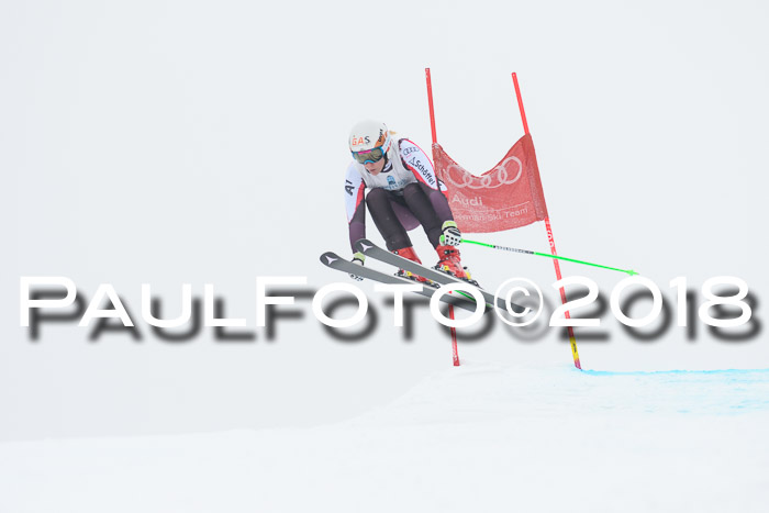 Int. FIS Rennen + NJC Damen, SG, Götschen, 22.02.2018