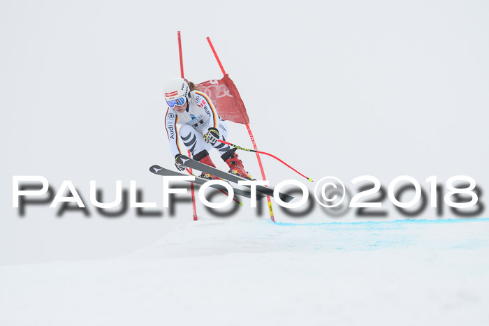 Int. FIS Rennen + NJC Damen, SG, Götschen, 22.02.2018