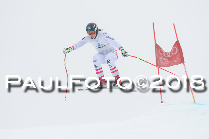 Int. FIS Rennen + NJC Damen, SG, Götschen, 22.02.2018