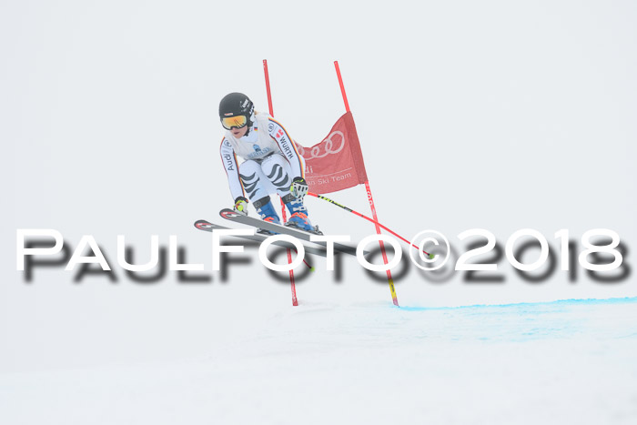 Int. FIS Rennen + NJC Damen, SG, Götschen, 22.02.2018