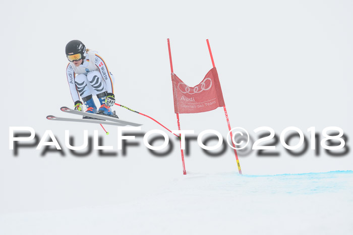 Int. FIS Rennen + NJC Damen, SG, Götschen, 22.02.2018
