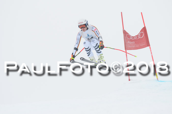 Int. FIS Rennen + NJC Damen, SG, Götschen, 22.02.2018