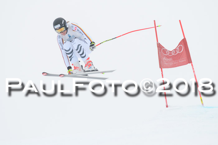 Int. FIS Rennen + NJC Damen, SG, Götschen, 22.02.2018