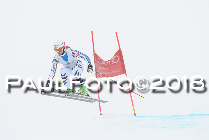 Int. FIS Rennen + NJC Damen, SG, Götschen, 22.02.2018