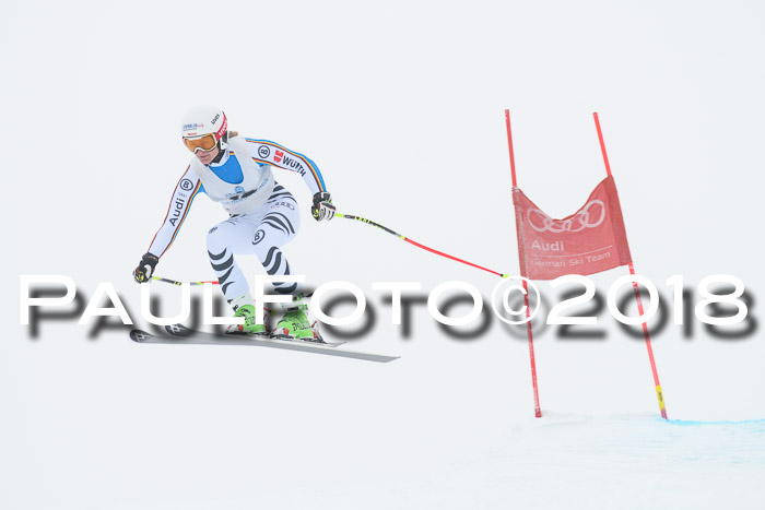 Int. FIS Rennen + NJC Damen, SG, Götschen, 22.02.2018