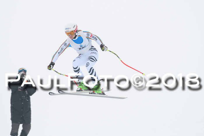 Int. FIS Rennen + NJC Damen, SG, Götschen, 22.02.2018