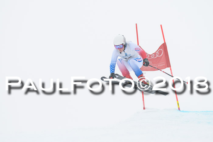 Int. FIS Rennen + NJC Damen, SG, Götschen, 22.02.2018