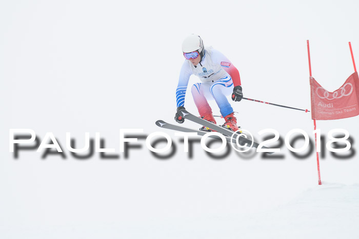 Int. FIS Rennen + NJC Damen, SG, Götschen, 22.02.2018